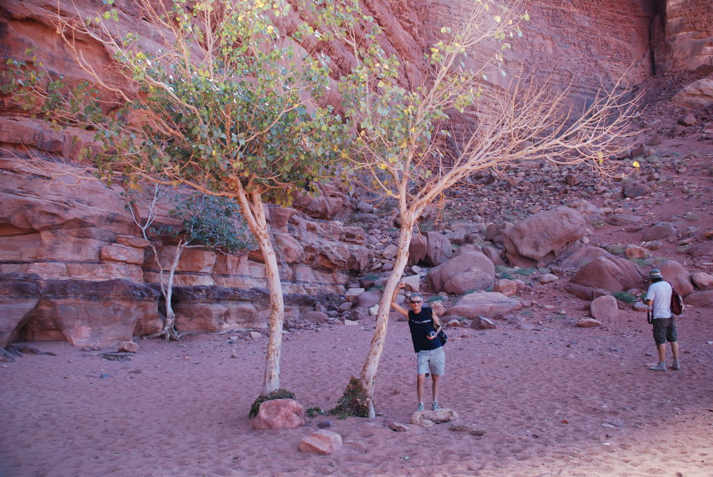 Wadi Rum